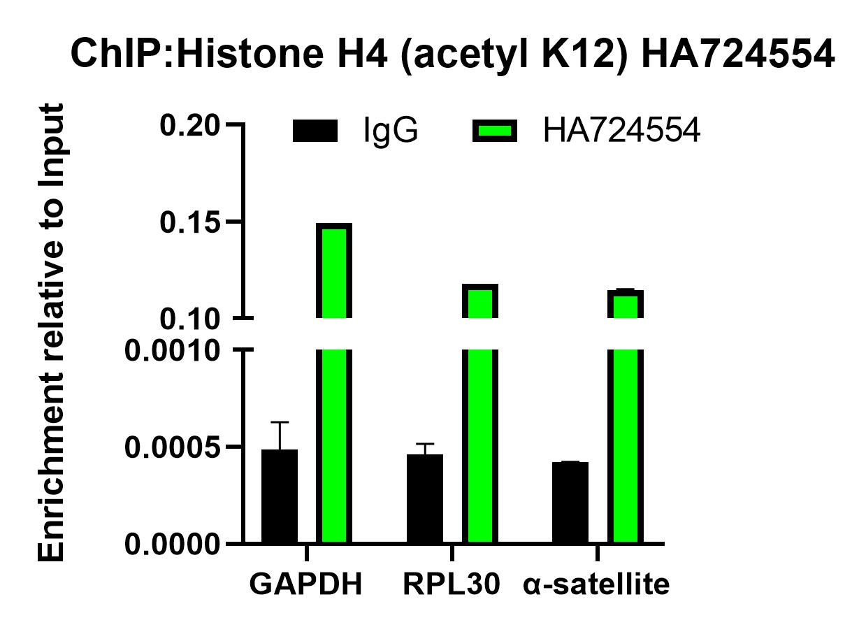 Histone antibody product image